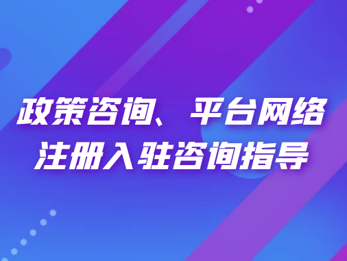 政策咨詢、平臺網(wǎng)絡(luò)注冊入駐咨詢指導(dǎo)
